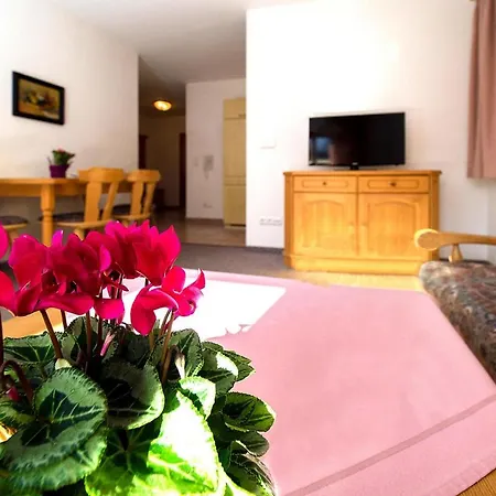Apartamento Country House Monika - Dal05502-cyc